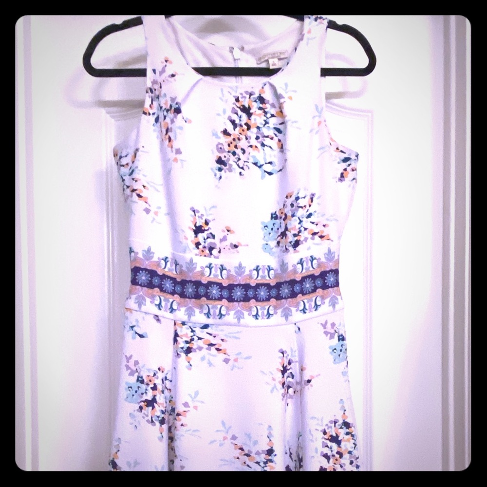 Eva Mendes NY & Co. dress